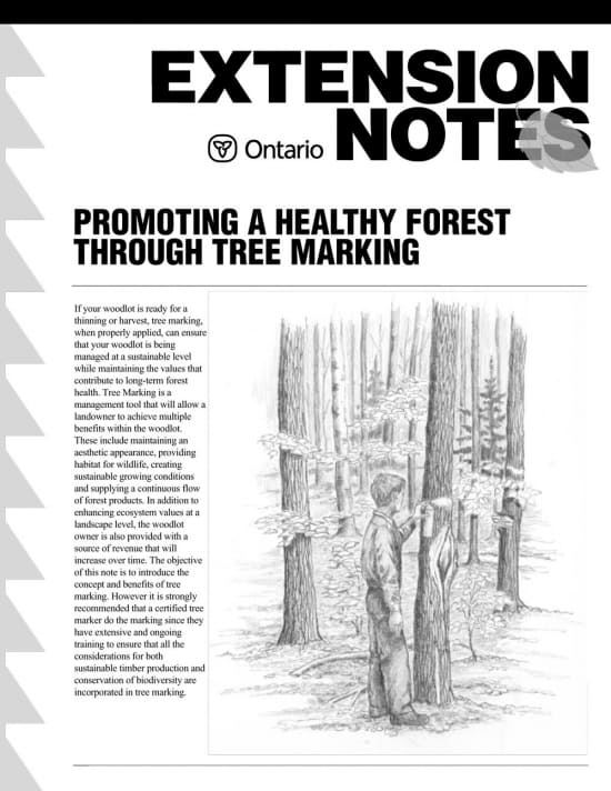 Promoting a Healthy Forest Through Tree Marking