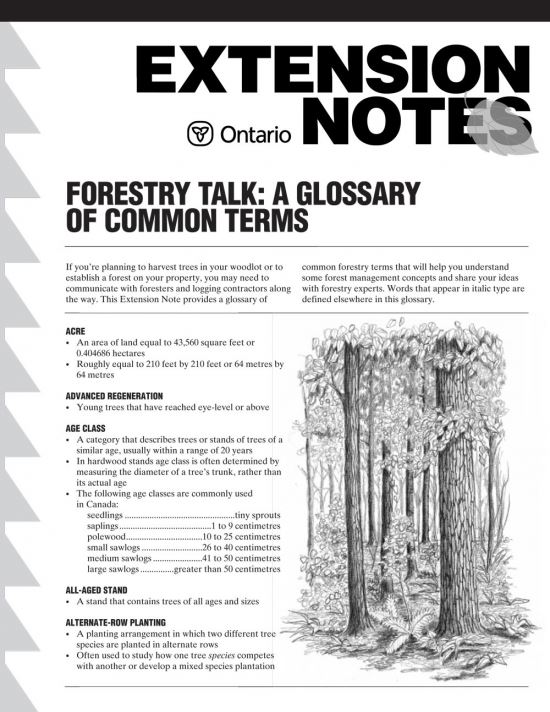 Forestry Talk: A Glossary of Common Terms