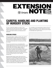 Careful Handling and Planting of Nursery Stock 